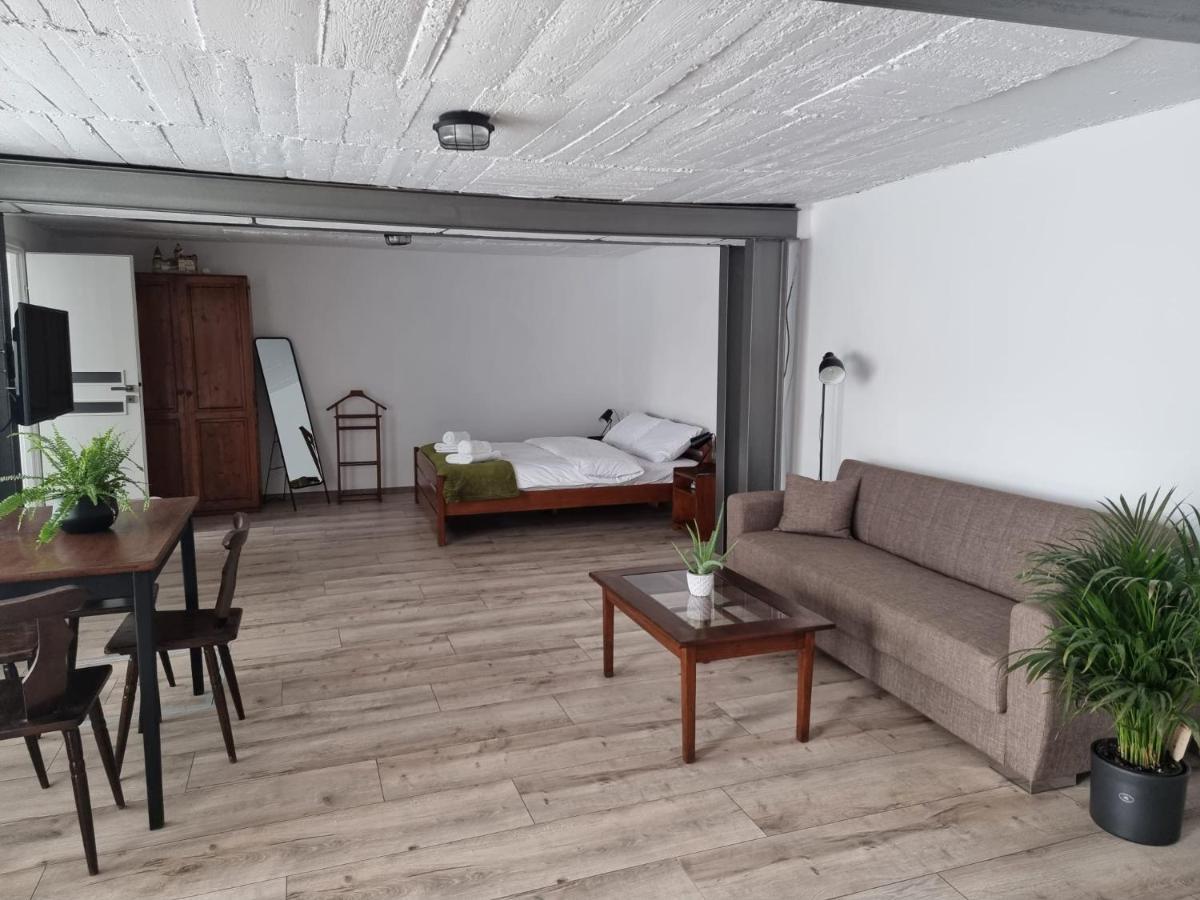 The Cozy Bunker Daire Sibiu Dış mekan fotoğraf