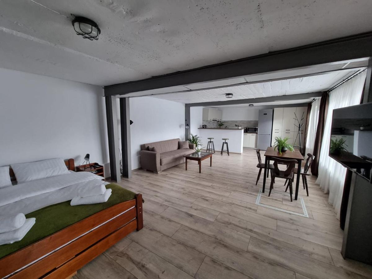 The Cozy Bunker Daire Sibiu Dış mekan fotoğraf