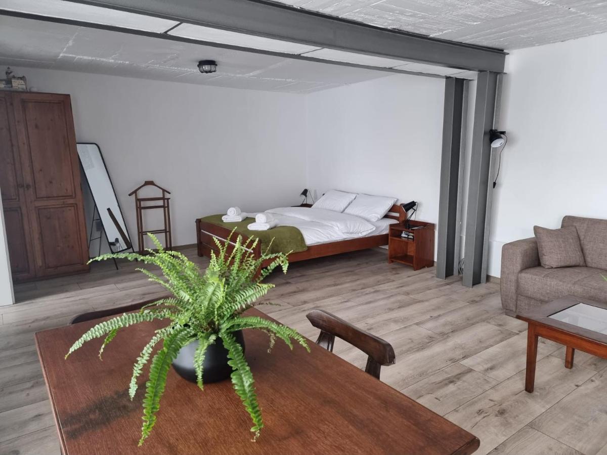 The Cozy Bunker Daire Sibiu Dış mekan fotoğraf