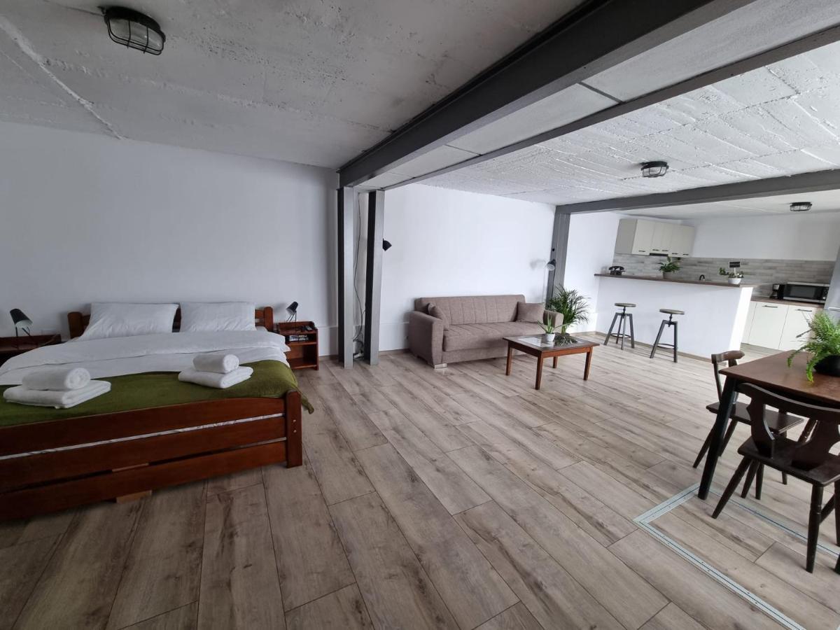 The Cozy Bunker Daire Sibiu Dış mekan fotoğraf