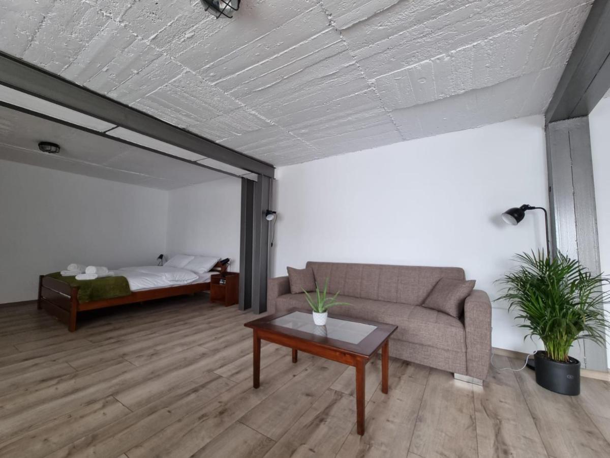The Cozy Bunker Daire Sibiu Dış mekan fotoğraf
