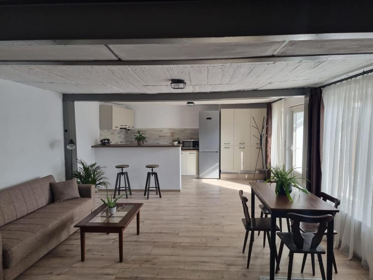 The Cozy Bunker Daire Sibiu Dış mekan fotoğraf