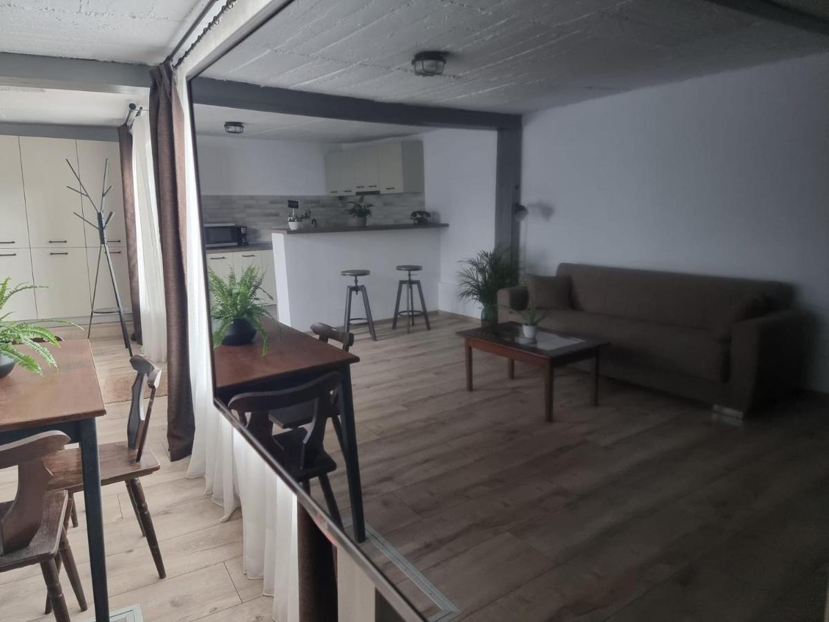 The Cozy Bunker Daire Sibiu Dış mekan fotoğraf